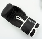 Chosen Premium SHIELD Boxing Gloves-black